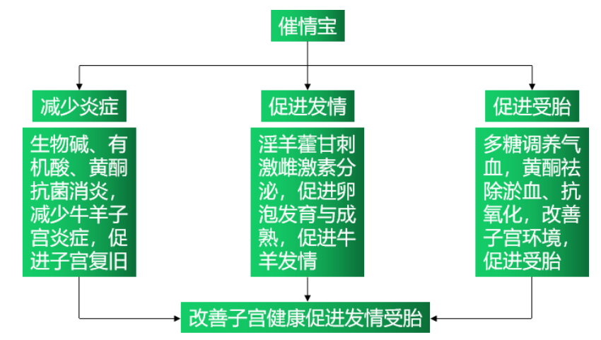 6114d39a862a0 6114d39a862a0