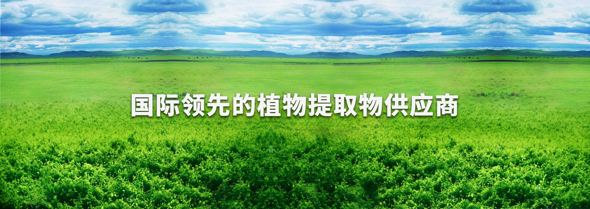 太阳集团tyc539(股份)有限公司官网